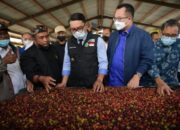 Kopi Garut Diekspor ke Belanda