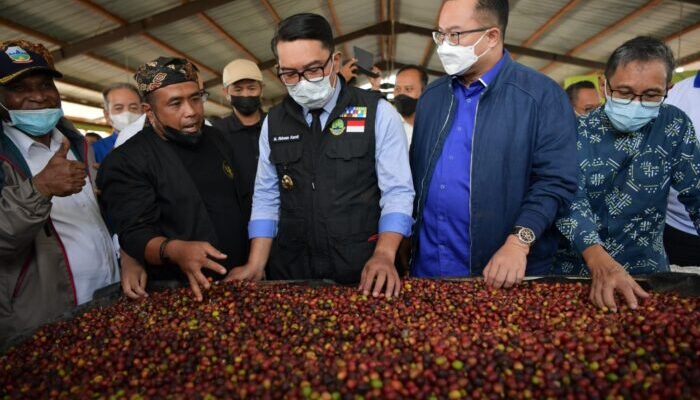 Kopi Garut Diekspor ke Belanda