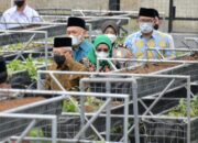 Wapres Resmikan Korporatisasi Pertanian Digital Pesantren Al Ittifaq