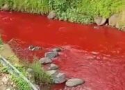 Ada Dugaan Tindakan Pidana, Air Sungai Cimeta Berwarna Merah