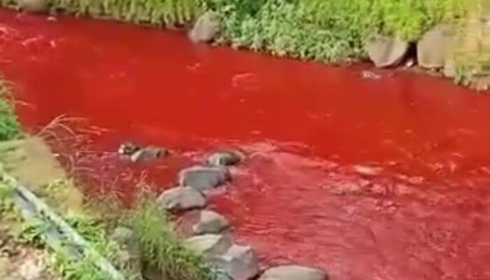 Ada Dugaan Tindakan Pidana, Air Sungai Cimeta Berwarna Merah