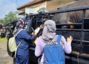 Penyakit Mulut dan Kuku Menyerang Sapi dan Kerbau di Kabupaten Tasik