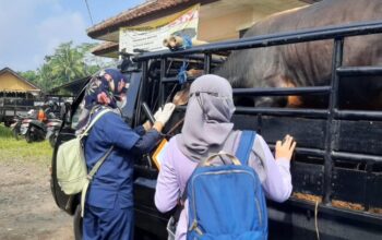 Penyakit Mulut dan Kuku