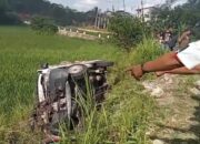 Tabrakan Maut: Dua Orang Meninggal, Pikap Terguling ke Sawah