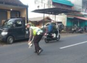 Anggota Satlantas Nyaris Tertabrak Elf Saat Selamatkan Kucing Nyebrang Jalan
