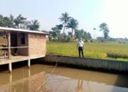 Dongkrak Perekonomian Warga, 3 Potensi Desa Cijati Situraja Dikembangkan