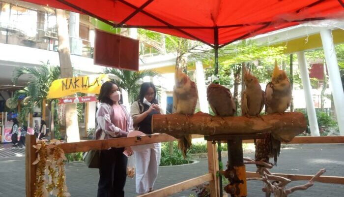 Wisata Edukasi Ciwalk Kota Bandung, Ada di Cihampelas