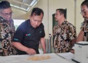 Harga Telur Melambung, Pemerintah Subsidi Jagung