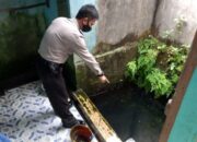 Warga Cipicung Tasik Terjatuh ke Sumur