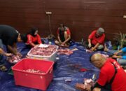 Ono Surono: Perayaan Iduladha Gelorakan Semangat Berkorban ke Sesama