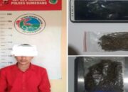 Polres Sumedang Ungkap Peredaran Ganja di Sukasari