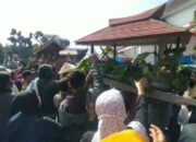 Begini Kata Juri Lomba Jempana