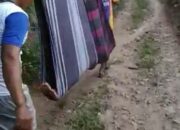 Video Viral, Warga Cianjur Ditandu Sarung, Meninggal
