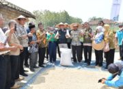 Ciptakan Ketahanan Pangan Diluncurkan Program Tapal Desa