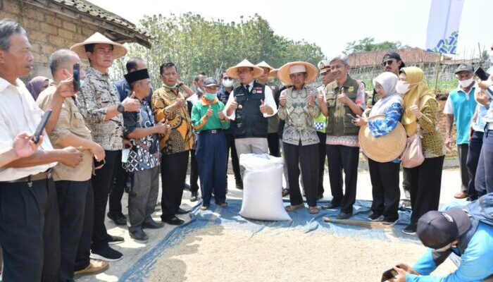 Ciptakan Ketahanan Pangan Diluncurkan Program Tapal Desa