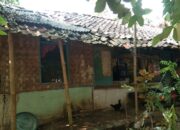 Ngeri, Pasutri Lansia Warga Cianjur Tinggal di Rumah yang Nyaris Ambruk