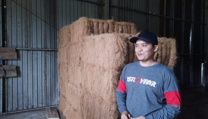 Sabut Kelapa Digunakan Kursi Pesawat dan Jok Mobil Mewah