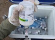 119.000 Dosis Vaksin Disalurkan ke Jabar dari Kementerian Pertanian