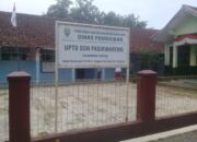 Guru dan Siswa SDN Pasirwareng Ketakutan, Begini Faktanya