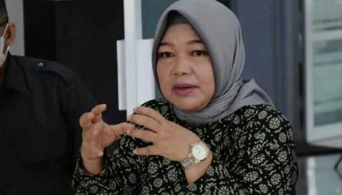 Lina Ruslinawati, Kasus PMK Diharapkan Tuntas Tahun 2022