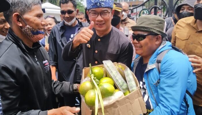 RK: Banyak Tanah-tanah di Jabar Tak Termanfaatkan, Dikuasai BUMN