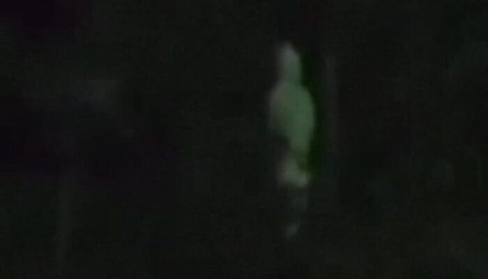 Pocong Gentayangan Viral, Warga Cianjur Geger