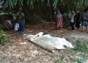 Empat Jenazah Terlantar di Kebun Bambu, Relokasi Pemakaman di Cianjur