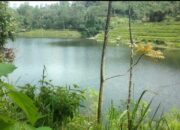 Penutup Saluran Air Tol Cisumdawu Ambles, 5 Hektare Sawah Terendam Banjir