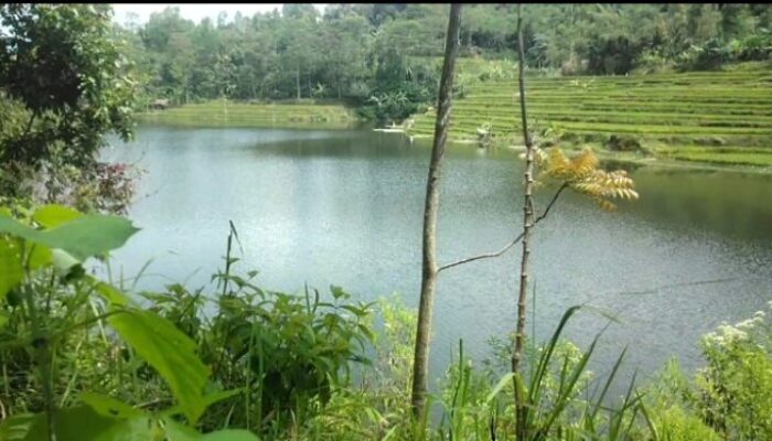 Penutup Saluran Air Tol Cisumdawu Ambles, 5 Hektare Sawah Terendam Banjir