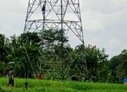 Perempuan Panjat Sutet di Karikil Mangkubumi, Diduga Batal Nikah