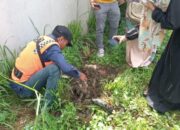 Makam Pembantaian Kucing Ditemukan di Pasar Indihiang