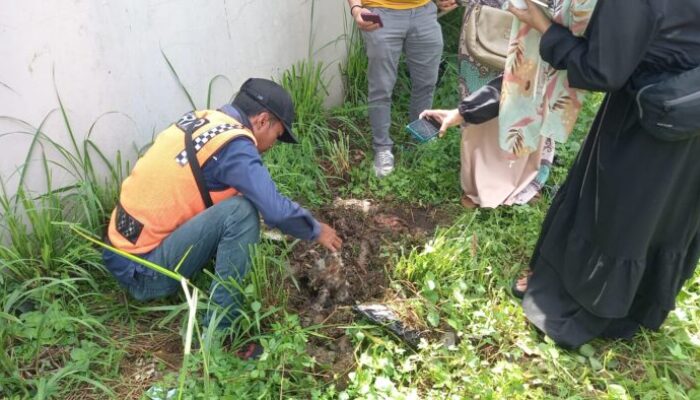 Makam Pembantaian Kucing Ditemukan di Pasar Indihiang