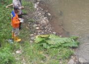 Mayat Hanyut di Kolong Jembatan Gobang