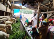 BIN RI Sambangi Pengungsi Korban Gempa Cianjur