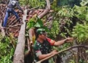 Kopral Ujang Evakuasi Pohon Tumbang yang Menimpa Rumah Warga