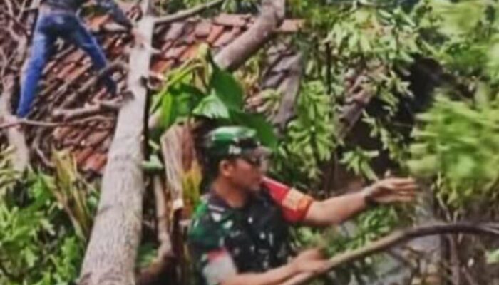 Kopral Ujang Evakuasi Pohon Tumbang yang Menimpa Rumah Warga