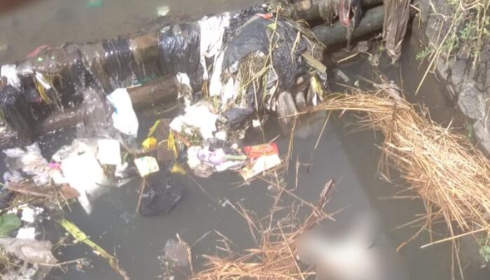 Nelangsa, Mayat Bayi Mengambang di Sungai Dalem Suba Purbaratu