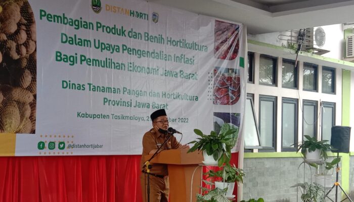 APBD 2023 Terpusat di Disdik, Buat Apa Saja?