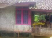 Rumah Reyot Berdinding Bilik, Saksi Bisu Tewasnya Seorang Pelajar