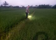 Petani di Rajapolah Temukan Mortir Terbungkus Plastik Hitam