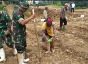 Ini Keunggulan Pupuk Bios-44 DC Menurut Petani di Conggeang