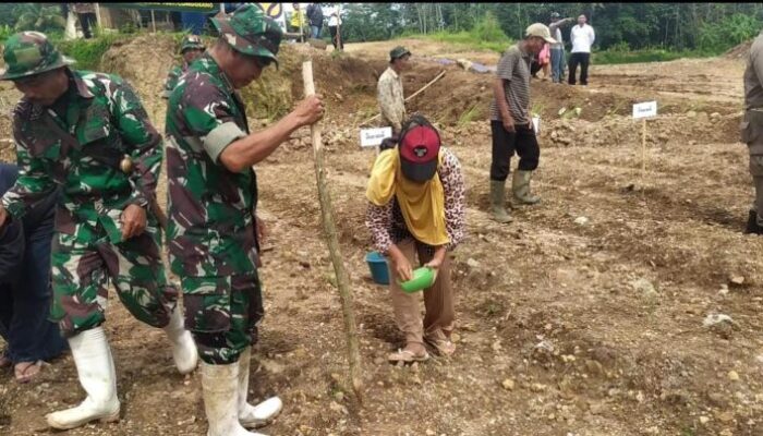 Ini Keunggulan Pupuk Bios-44 DC Menurut Petani di Conggeang