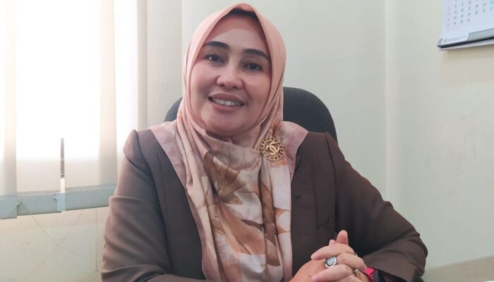 Saran Anggota DPRD biar Batik Sukapura Menggeliat Lagi