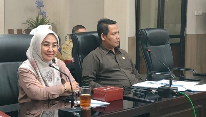 Bisnis Bordir Merosot, Komisi II Merasa Miris dan Arahkan Pemasaran Digital