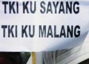 TKW Meninggal, PT Anugerah Sumber Rejeki Diminta Tanggung Jawab, Jaya: Hak Korban Tolong Penuhi