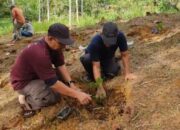 Lab Wirausaha Pascasarjana Unsil Tasik Kembangkan Kacang Amazon