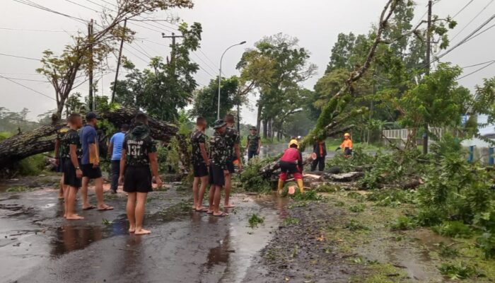 Lima Rumah Roboh di Purbaratu Kota Tasik, Pohon Bertumbangan