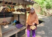 Lika-liku Pedagang Pisang Pinggir Jalan Salawu
