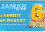 KUR Fasilitas Khusus bank bjb Sasar UMKM