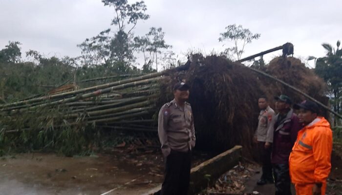 Akibat Puting Beliung, Rumah Rusak dan Kambing Mati Tertimpa Pohon